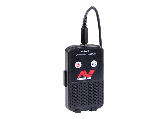 WM 12 Wireless Audio Module