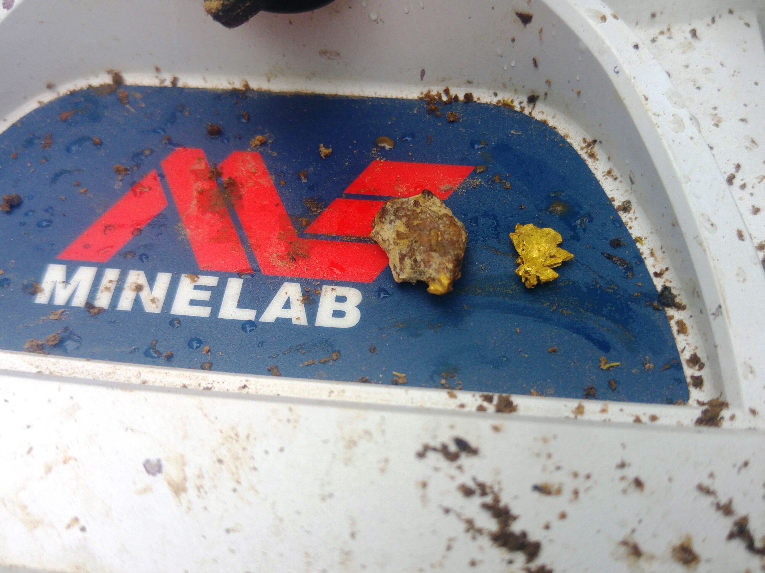 Gold nugget found with GPZ 19.